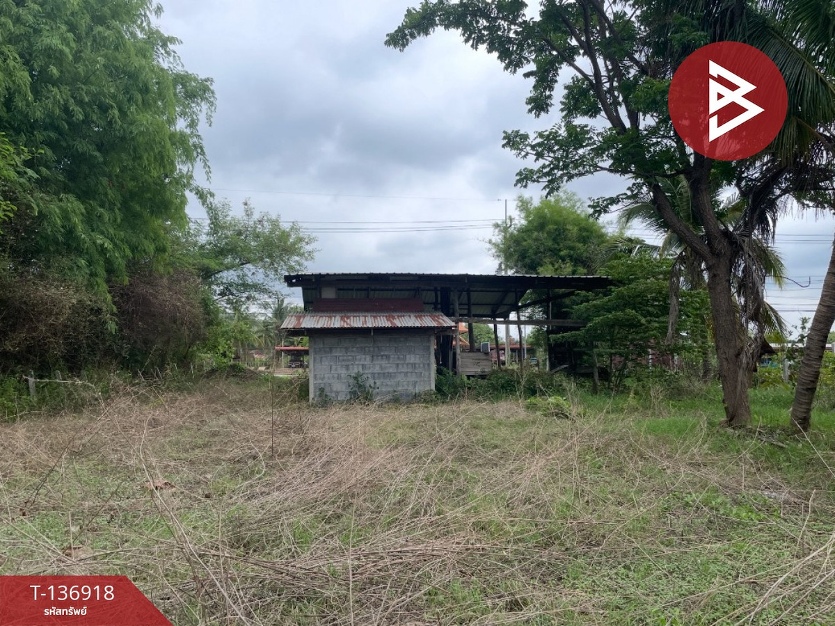 ขายที่ดิน เนื้อที่ 1 ไร่ หนองบัว นครสวรรค์