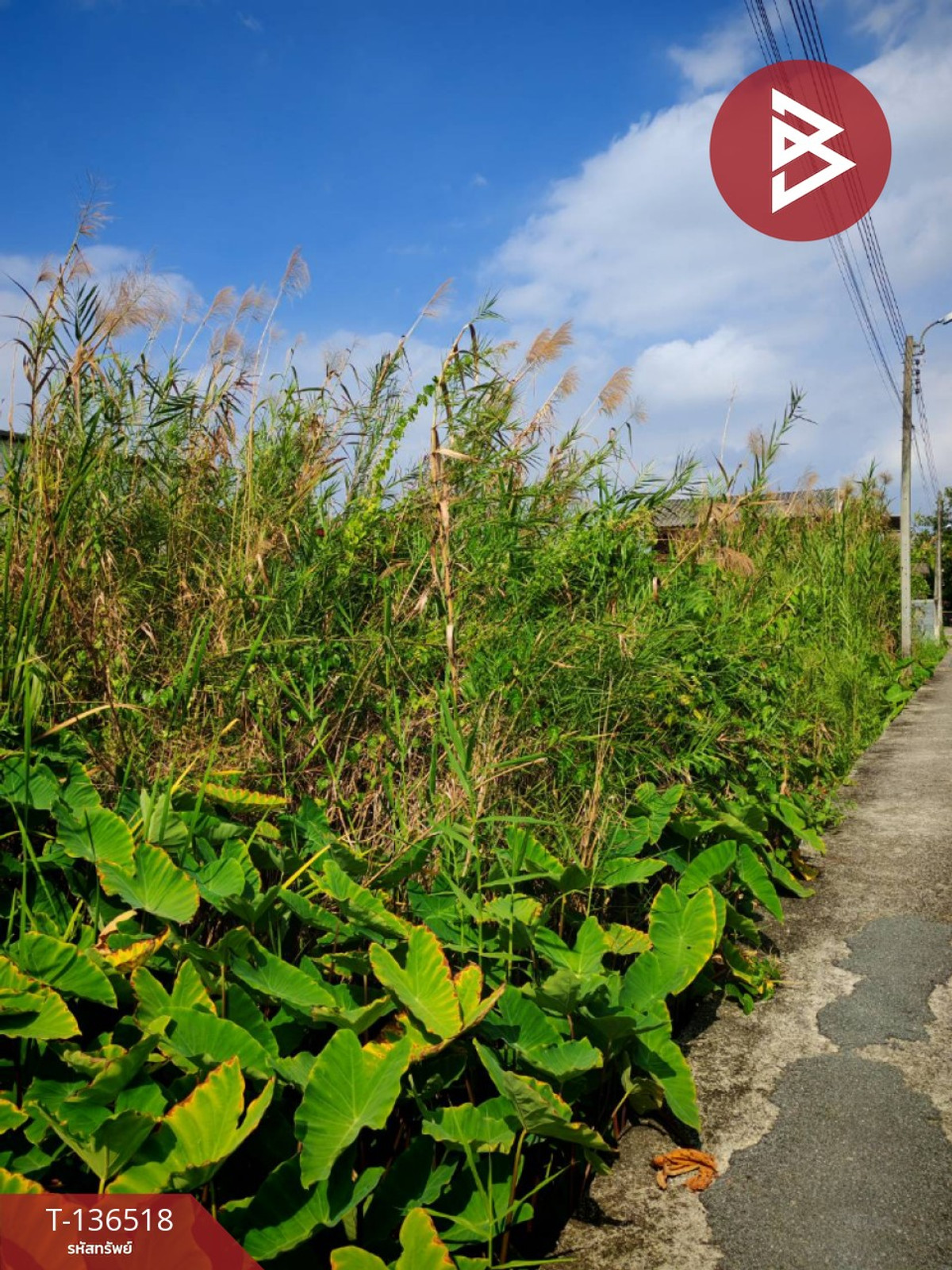 ขายที่ดินเปล่า เนื้อที่ 99 ตารางวา ใกล้หมู่บ้านปิ่นทองธานี ต.บางกร่าง จ.นนทบุรี