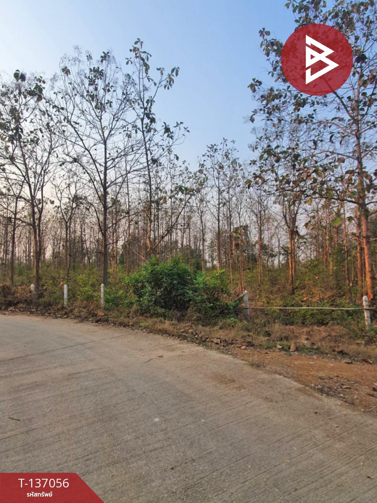 ขายที่ดิน เนื้อที่ 3 ไร่ 1 งาน 73 ตารางวา ต.นาแก้ว อ.เกาะคา จ.ลำปาง