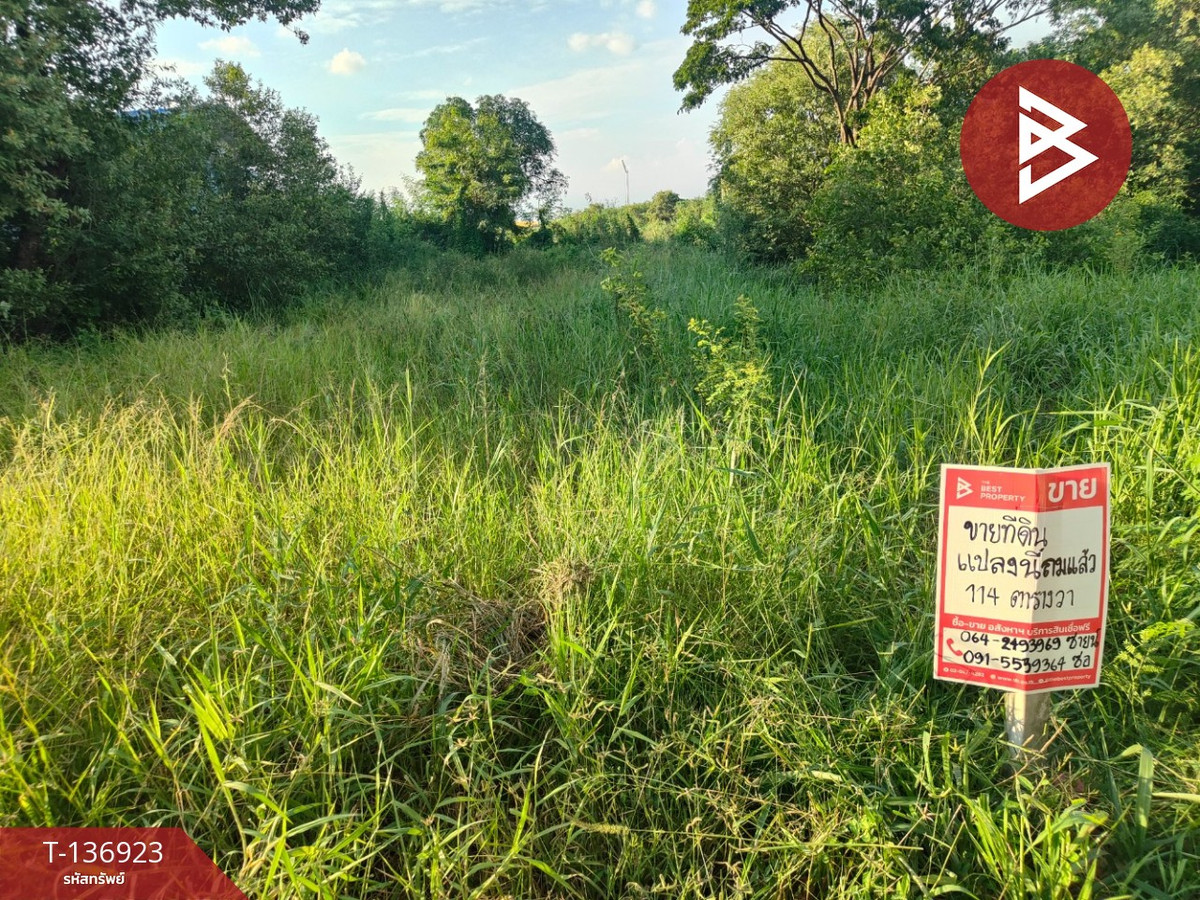 ขายที่ดิน เนื้อที่ 1 งาน 14 ตร.วา วังตะเคียน ฉะเชิงเทรา