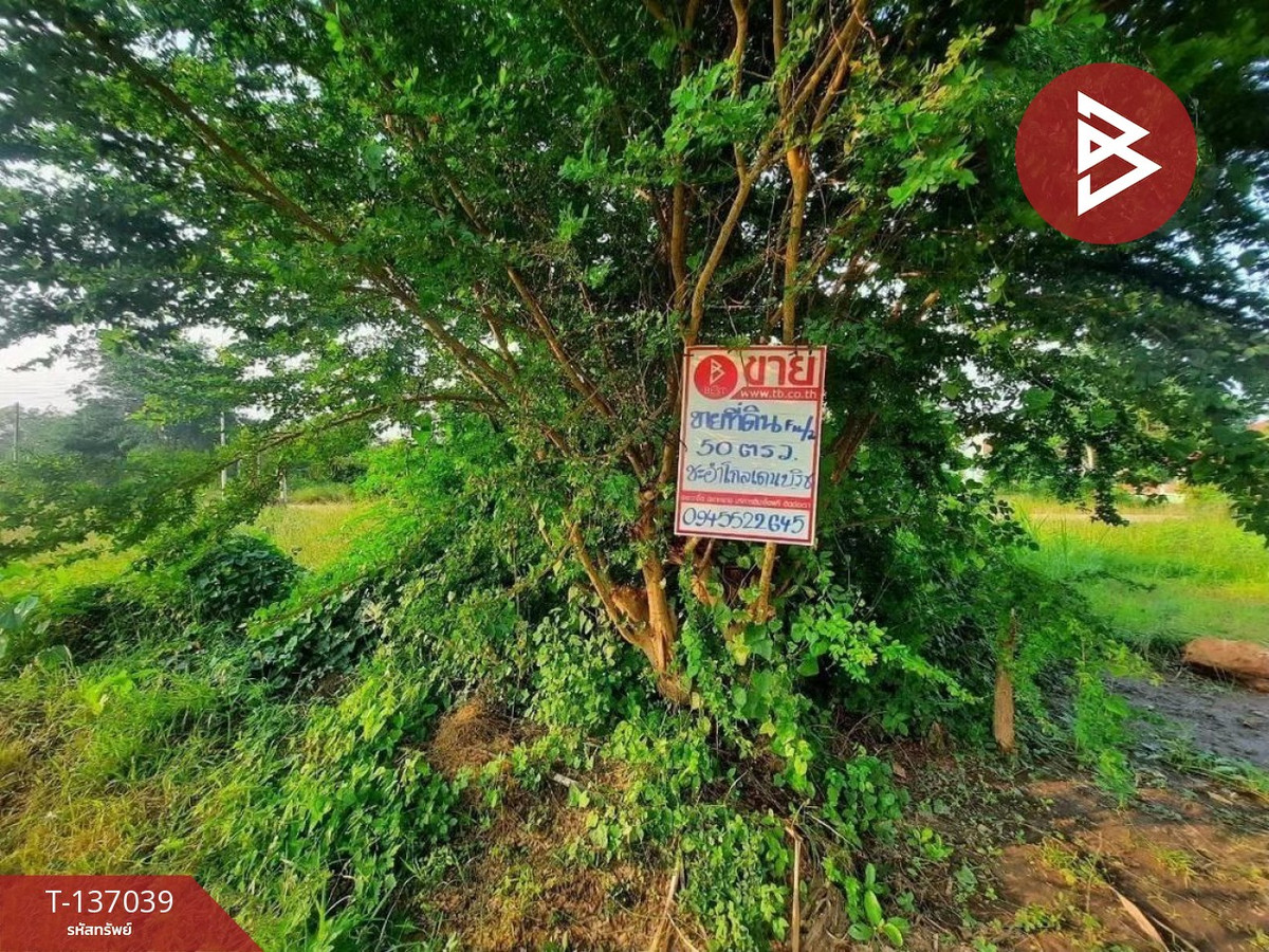 ขายที่ดิน เนื้อที่ 50 ตร.วา ชะอำ เพชรบุรี