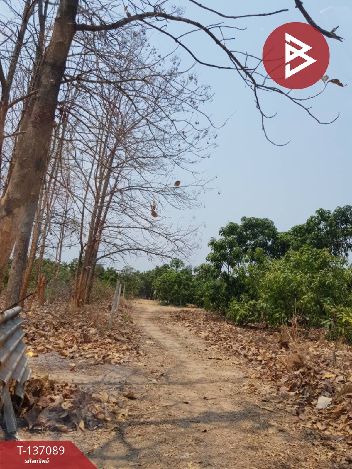 ขายที่ดิน เนื้อที่ 3 ไร่ 3 งาน 74.6 ตารางวา บ้านโฮ่ง ลำพูน