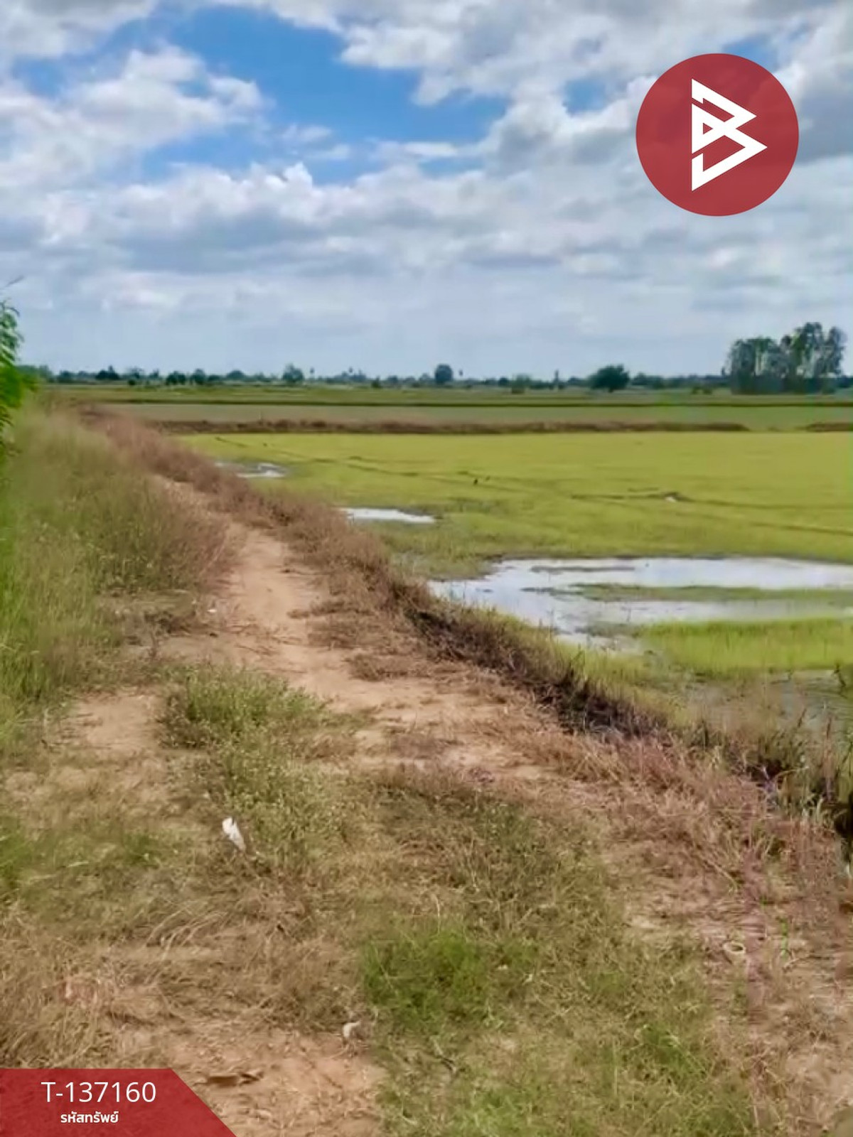 ขายที่ดิน เนื้อที่ 6 ไร่ 1 งาน 78 ตร.วา พรหมบุรี สิงห์บุรี