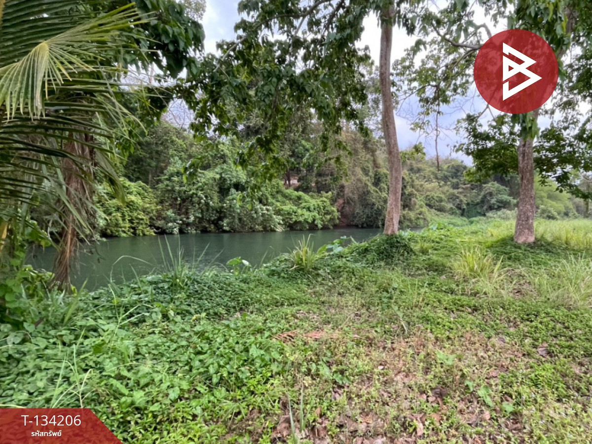 ขายที่ดิน เนื้อที่ 31 ไร่ 1 งาน 68 ตร.วา แก่งกระจาน เพชรบุรี