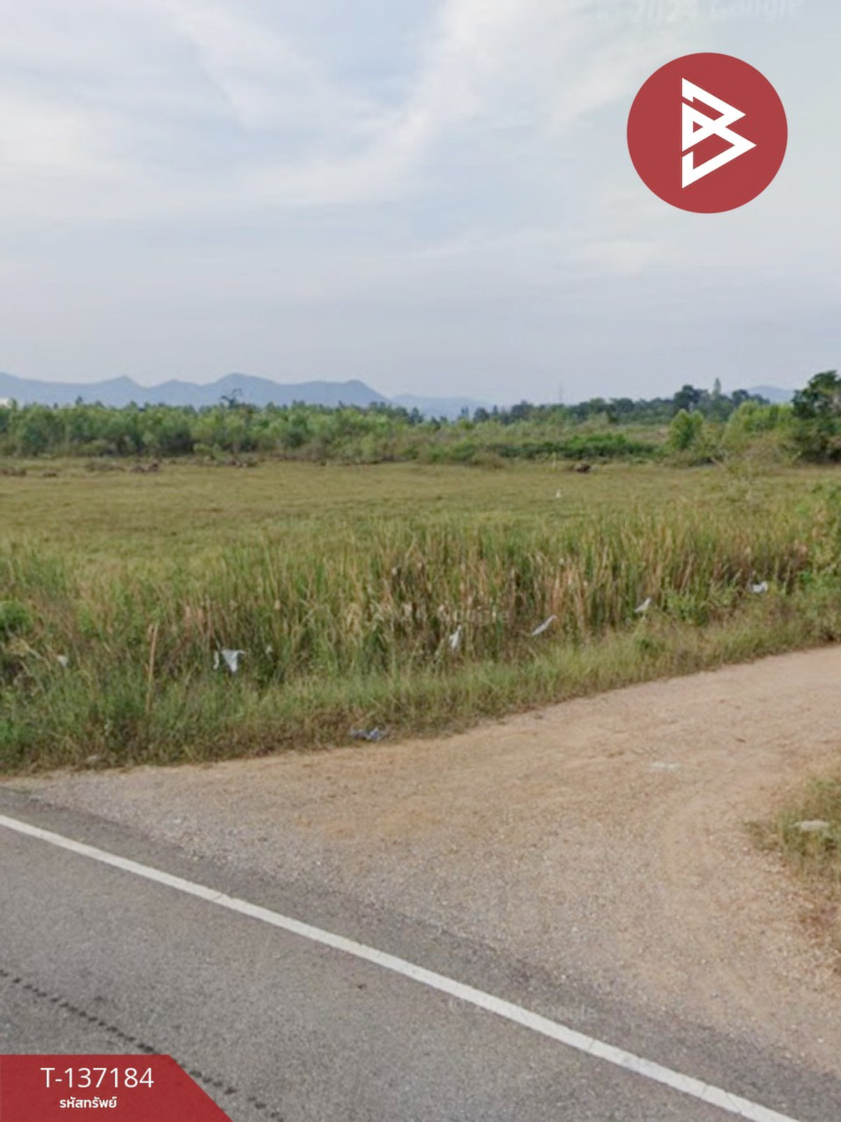 ขายด่วนที่ดิน เนื้อที่ 2 ไร่ ปากท่อ ราชบุรี