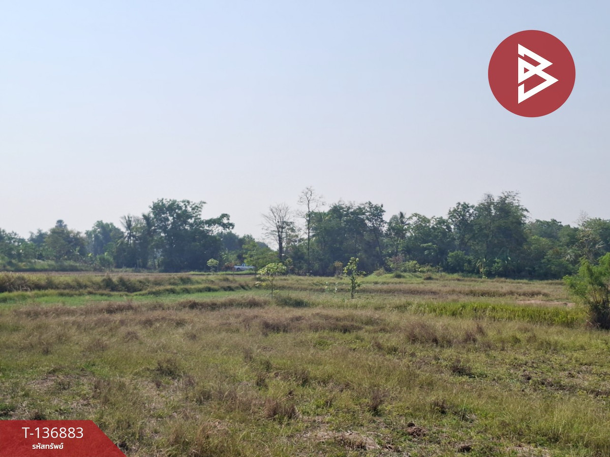 ขายที่ดิน เนื้อที่ 4 ไร่ อ.คง นครราชสีมา