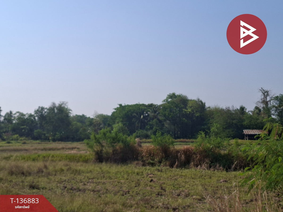 ขายที่ดิน เนื้อที่ 4 ไร่ อ.คง นครราชสีมา