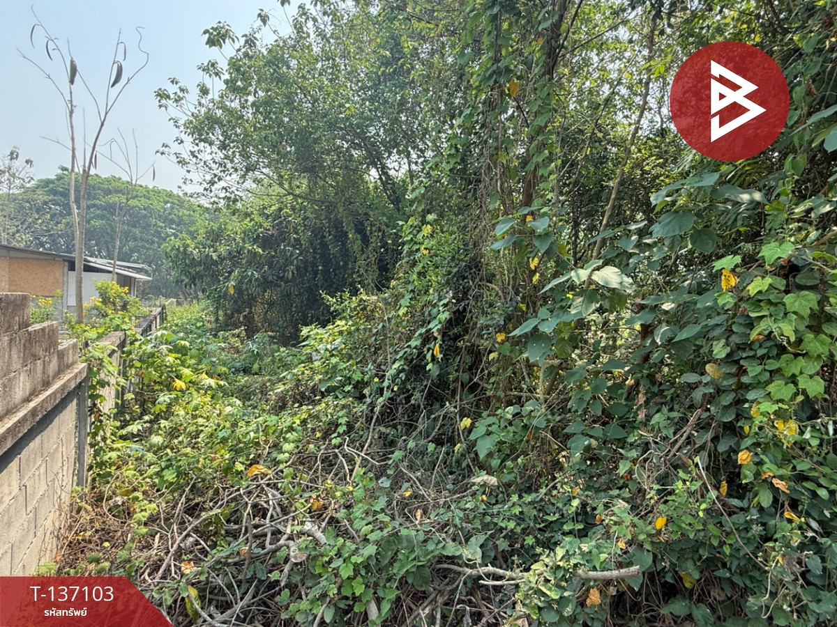 ขายที่ดิน เนื้อที่ 3 งาน 96 ตร.วา หางดง เชียงใหม่