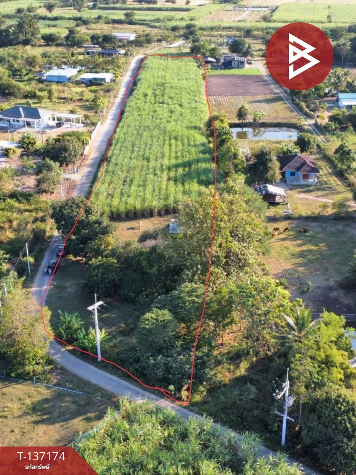 ขายที่ดิน เนื้อที่ 6 ไร่ 2 งาน 97 ตร.วา บ้านโป่ง ราชบุรี ทำเลดีฯ