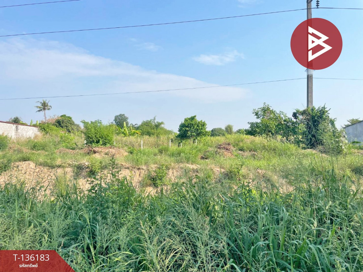 ขายที่ดิน เนื้อที่ 1 งาน 77.4 ตารางวา เกาะจันทร์ ชลบุรี