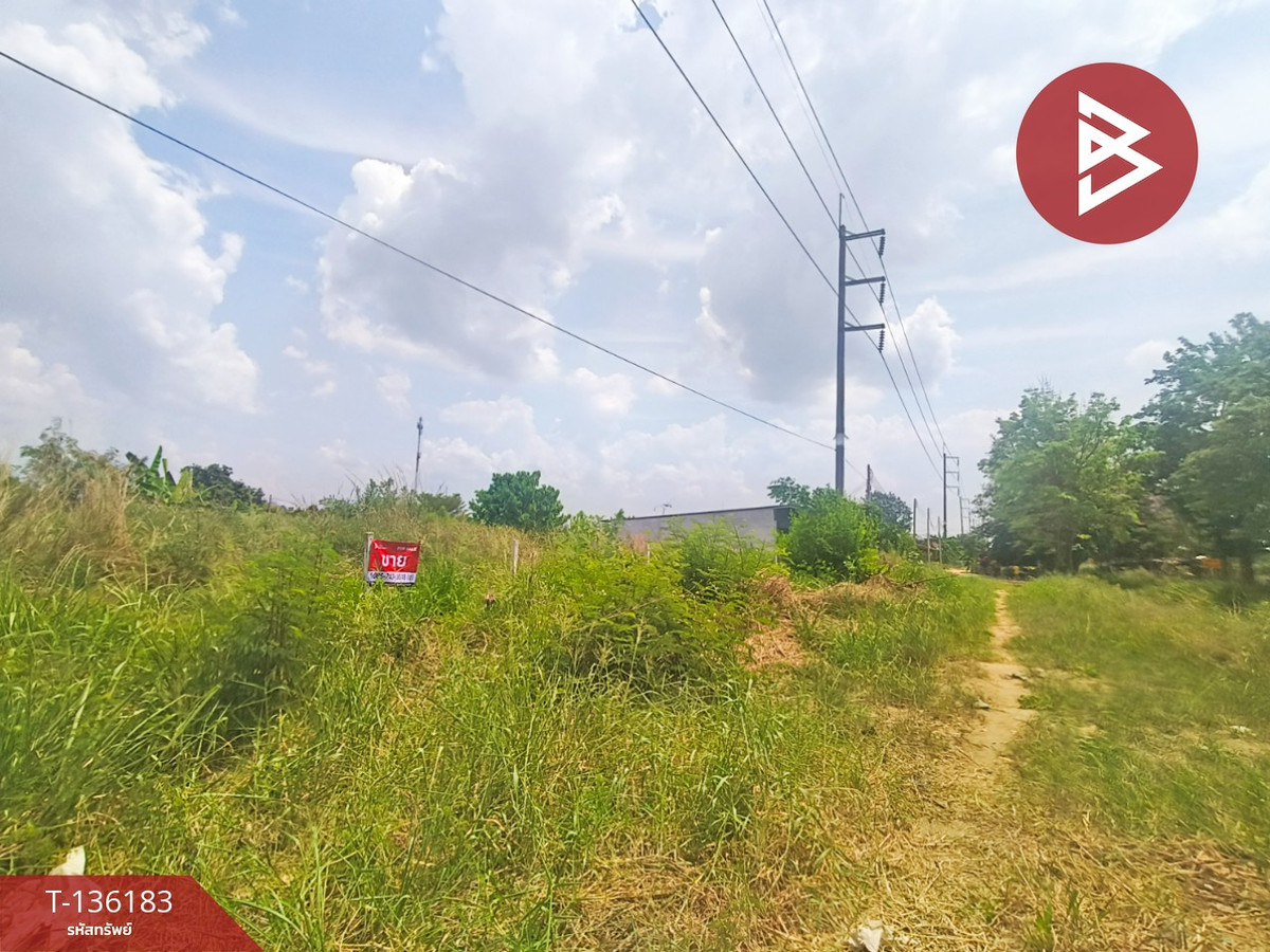 ขายที่ดิน เนื้อที่ 1 งาน 77.4 ตารางวา เกาะจันทร์ ชลบุรี