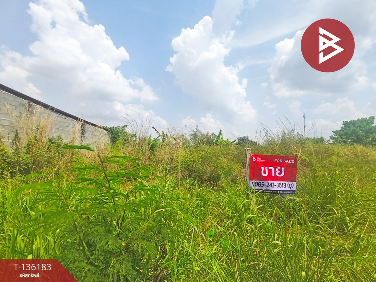 ขายที่ดิน เนื้อที่ 1 งาน 77.4 ตารางวา เกาะจันทร์ ชลบุรี