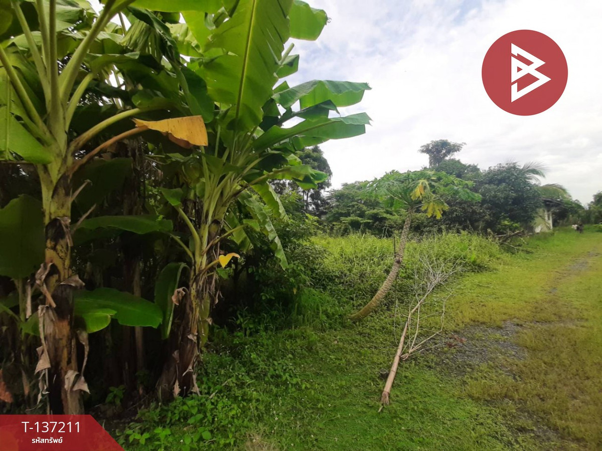 ขายที่ดิน เนื้อที่ 1 งาน 98 ตารางวา หนองจอก กรุงเทพฯ