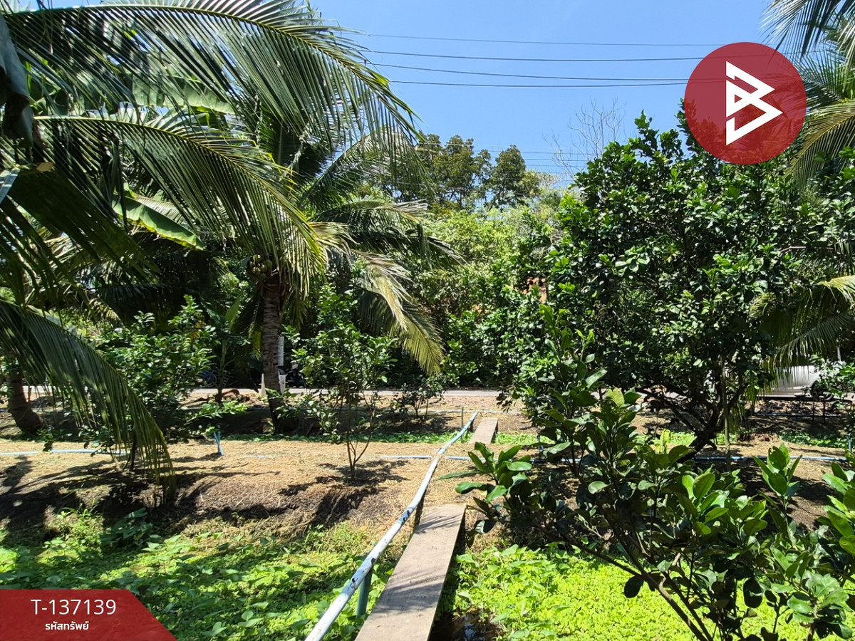 ขายที่ดิน เนื้อที่ 1 ไร่ 36 ตร.วา อัมพวา สมุทรสงคราม