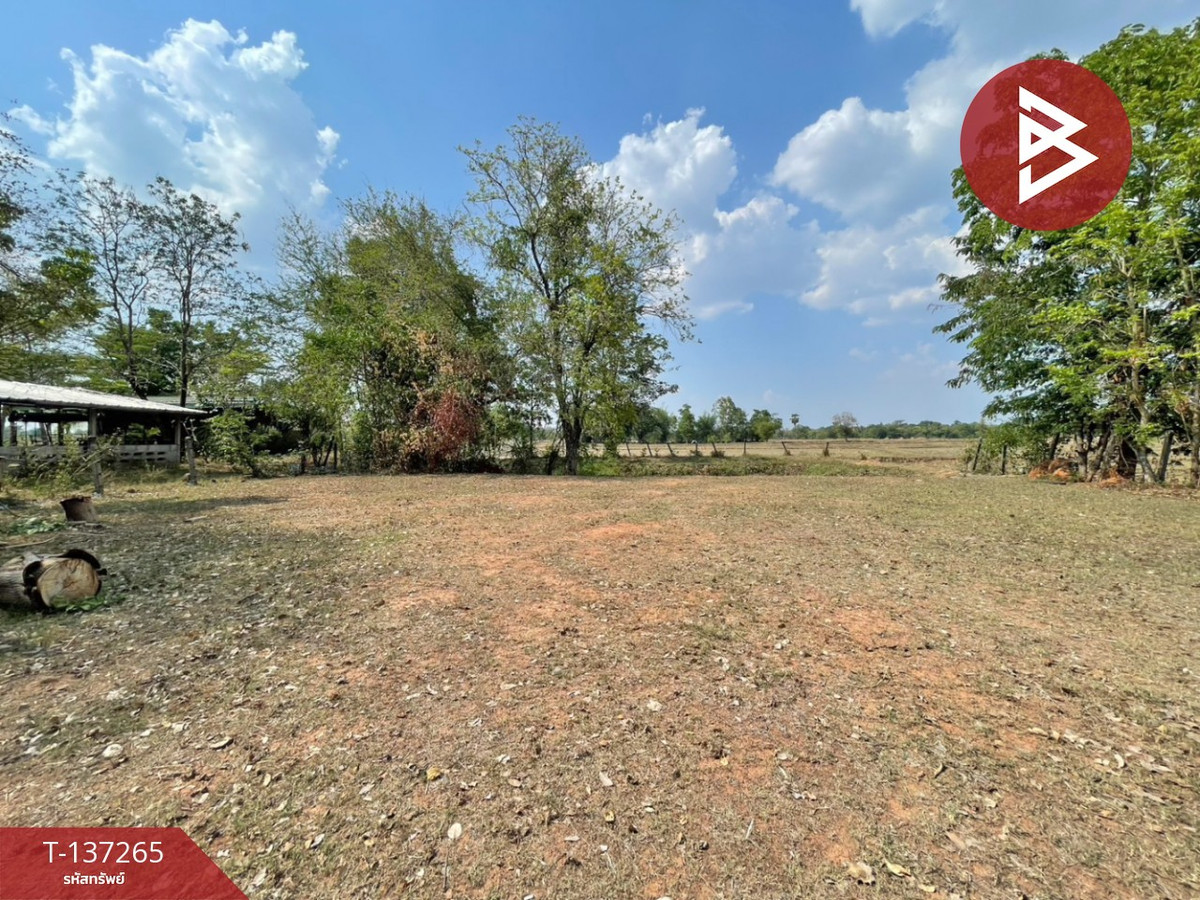 ขายที่ดิน เนื้อที่ 1 ไร่ บ้านไผ่ ขอนแก่น