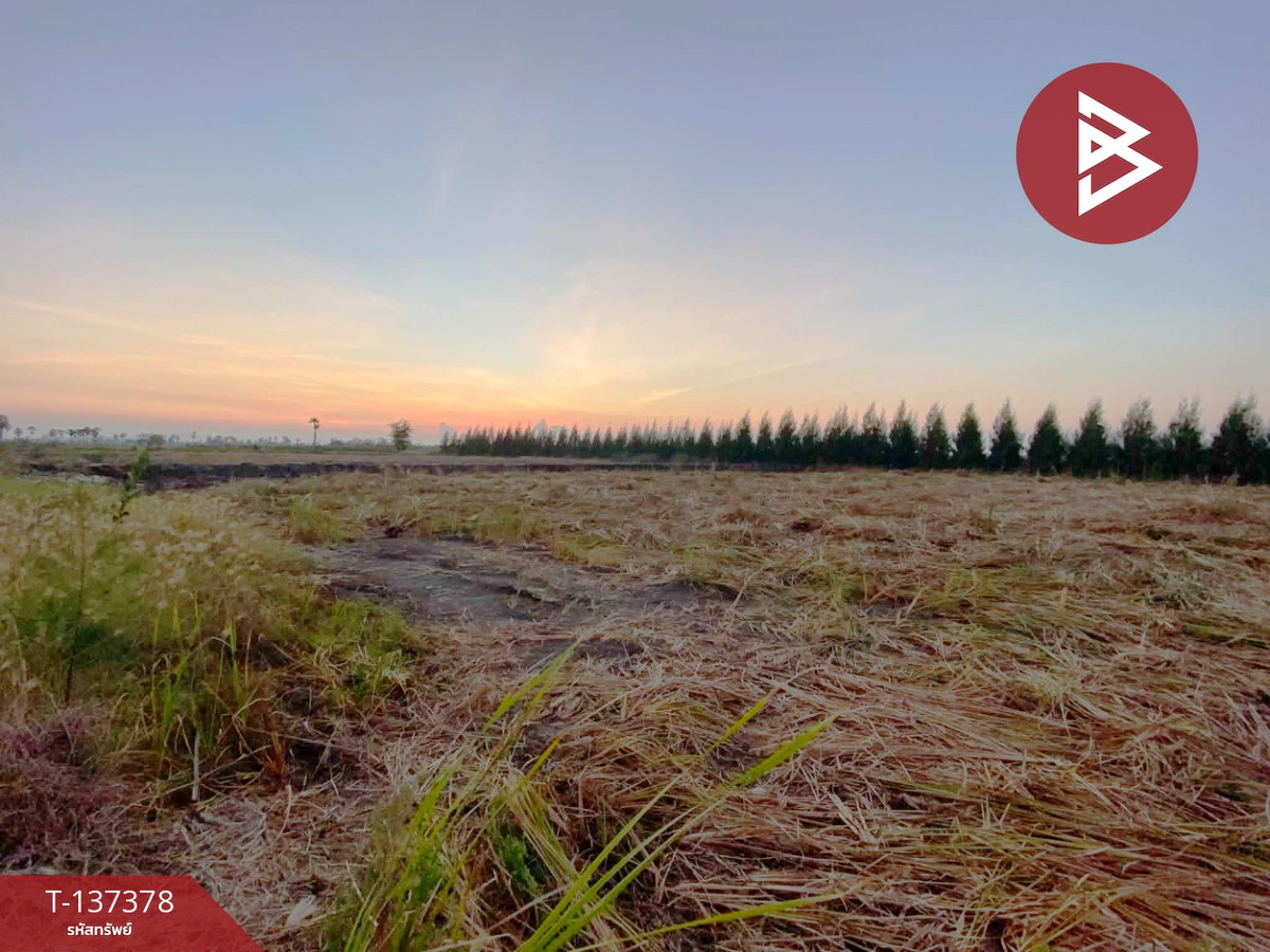 ขายที่ดินสวย เนื้อที่ 18 ไร่ 2 งาน 94 ตารางวา ต.บางจาน เพชรบุรี