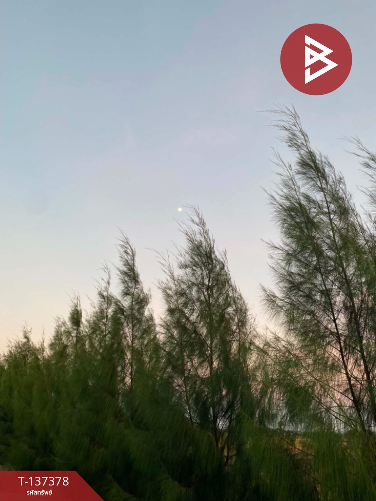 ขายที่ดินสวย เนื้อที่ 18 ไร่ 2 งาน 94 ตารางวา ต.บางจาน เพชรบุรี