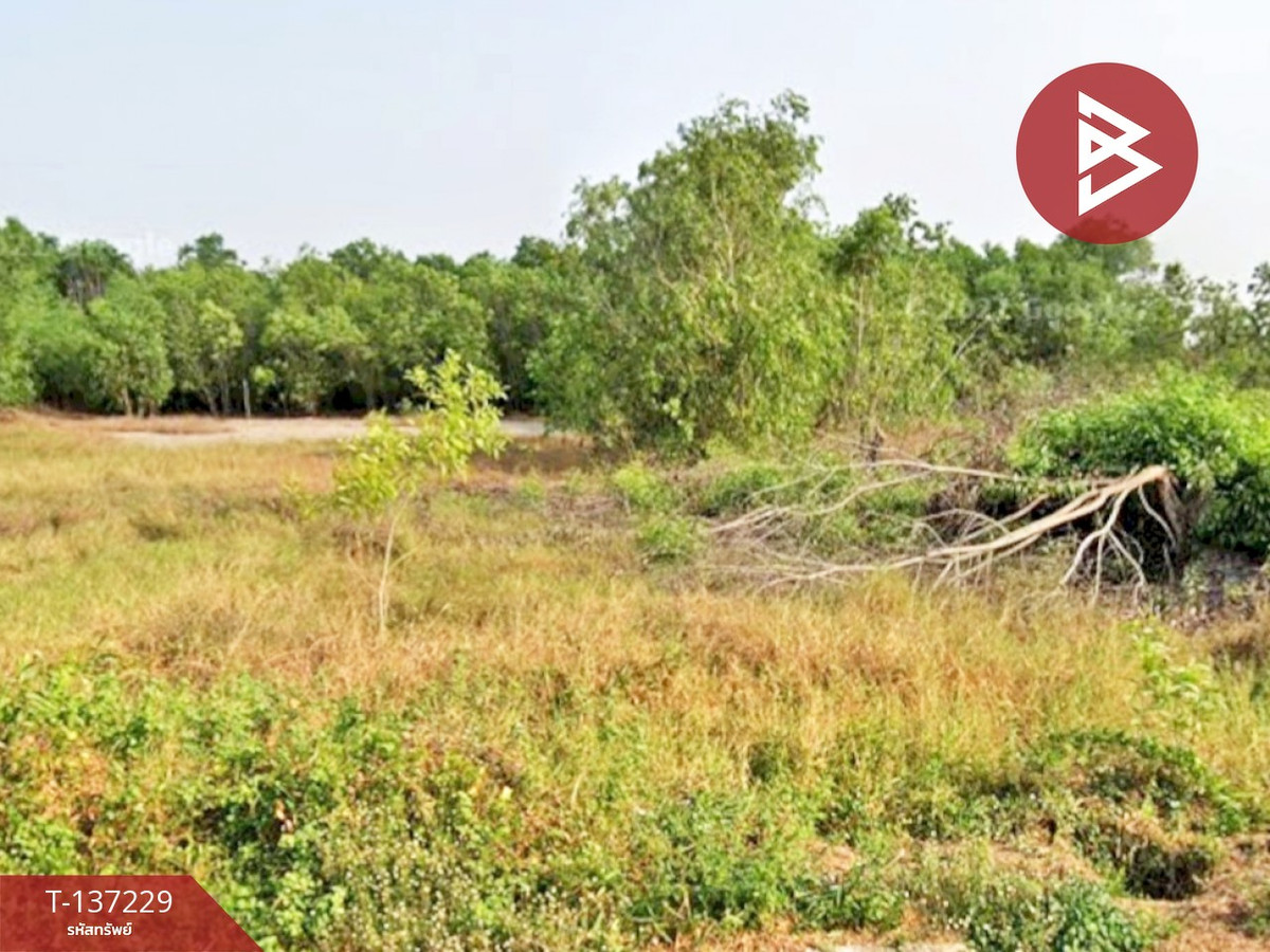 ขายที่ดิน เนื้อที่ 1 ไร่ 1 งาน 87 ตร.วา คลองหลวง ปทุมธานี