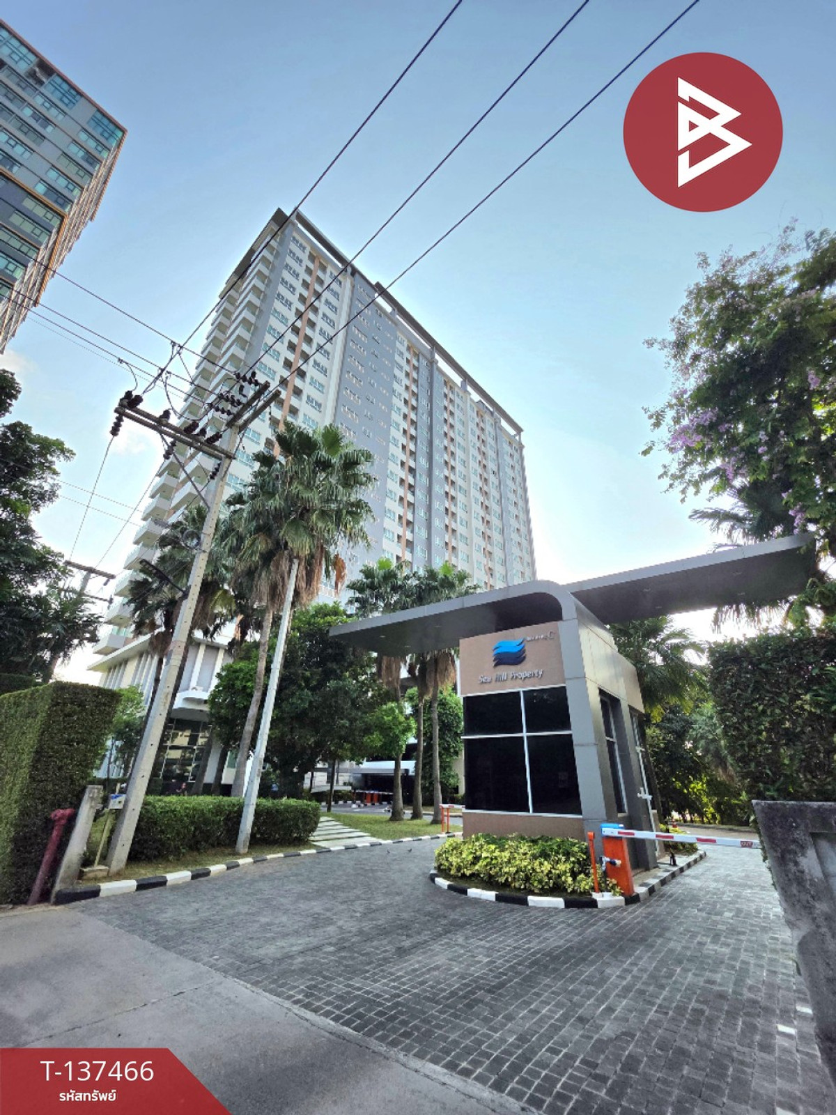 ขาย/เช่า คอนโด ซีฮิลล์ ศรีราชา (Sea Hill Sriracha) ชลบุรี