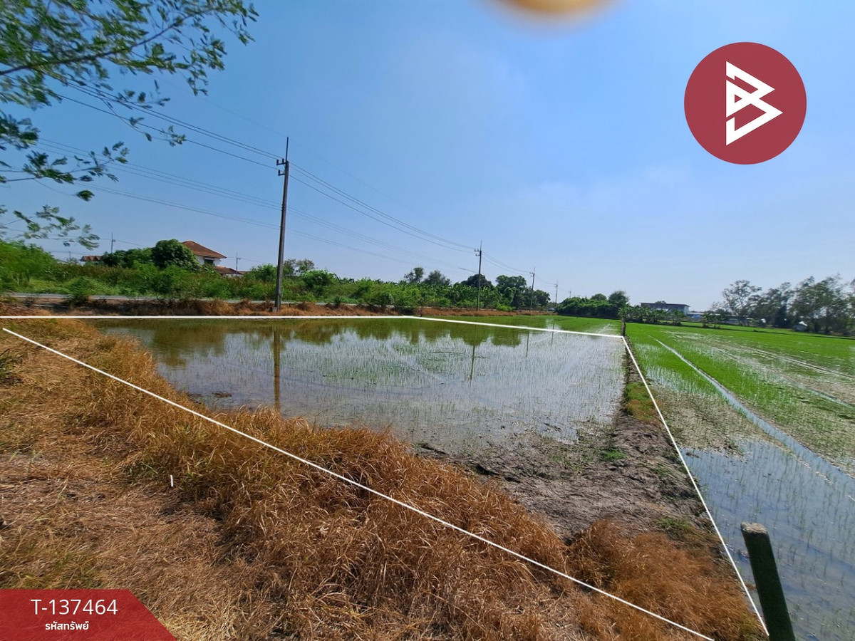 ขายที่ดิน เนื้อที่ 1 งาน 83 ตร.วา พุทธมณฑล นครปฐม