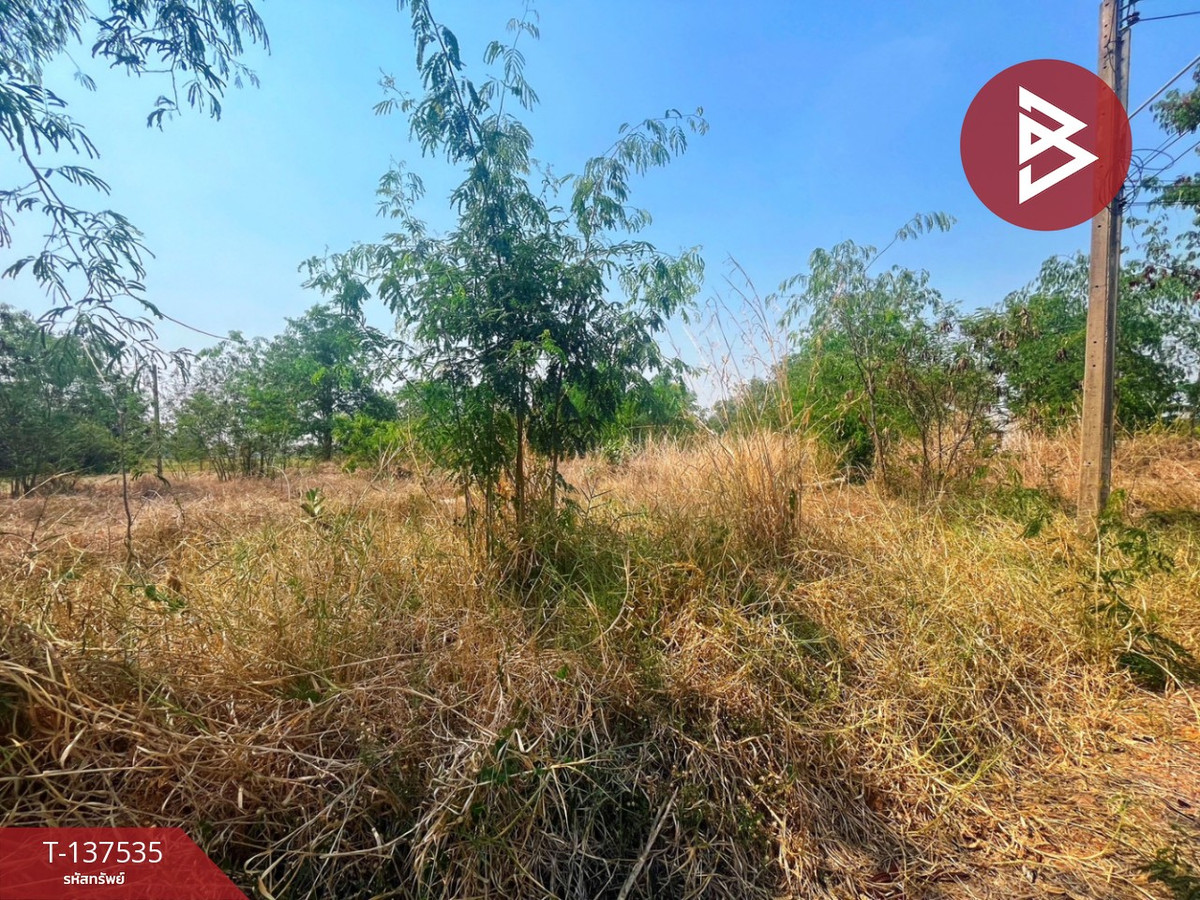 ขายที่ดิน เนื้อที่ 1 ไร่ 20.1 ตารางวา ต.หนองฉาง อ.หนองฉาง จ.อุทัยธานี ทำเลดี ราคาถูก