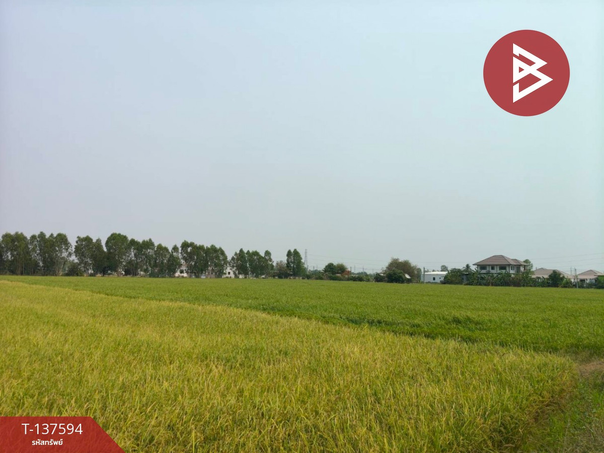 ขายที่ดิน เนื้อที่ 3 ไร่ 1 งาน 65.8 ตารางวา ต.บ้านกร่าง พิษณุโลก