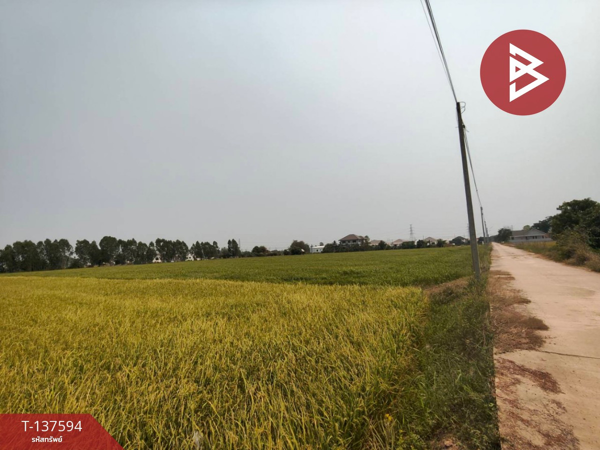 ขายที่ดิน เนื้อที่ 3 ไร่ 1 งาน 65.8 ตารางวา ต.บ้านกร่าง พิษณุโลก