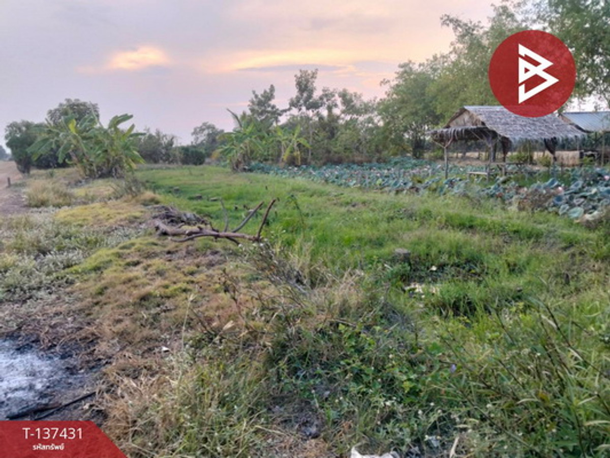 ขายที่ดิน เนื้อที่ 4 ไร่ 3 งาน 33 ตร.วา สามโก้ อ่างทอง