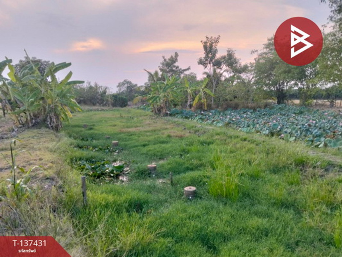 ขายที่ดิน เนื้อที่ 4 ไร่ 3 งาน 33 ตร.วา สามโก้ อ่างทอง