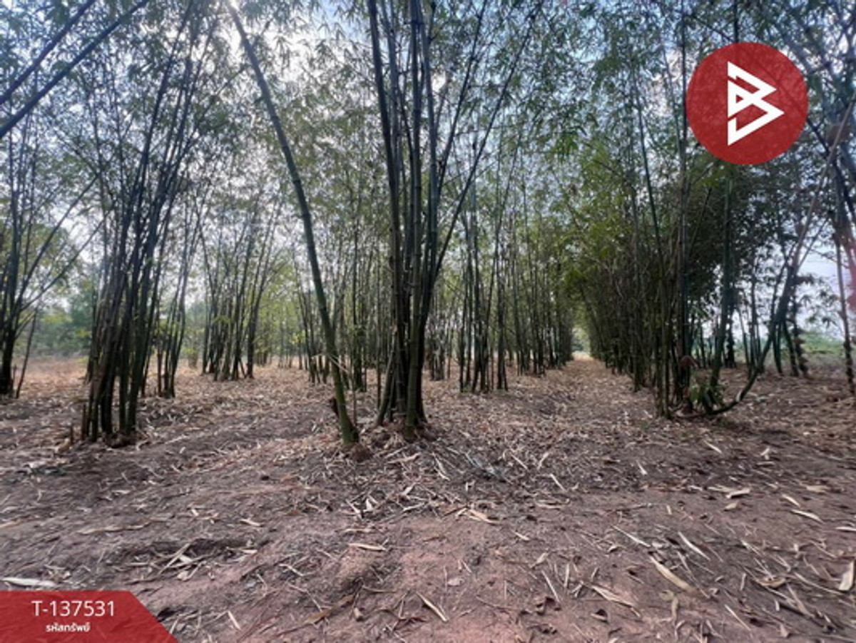 ขายที่ดิน เนื้อที่ 7 ไร่ บ้านหว้า ขอนแก่น