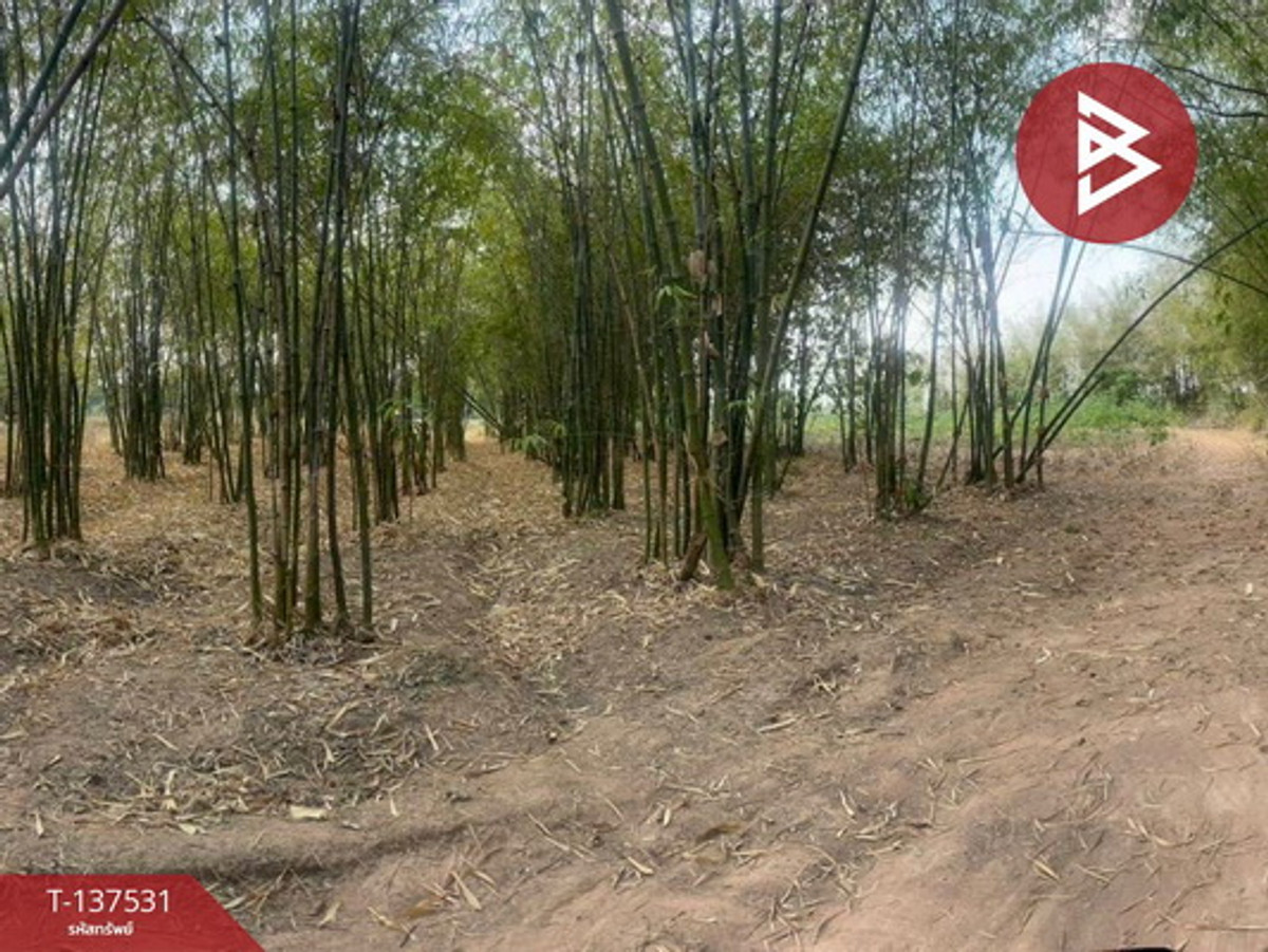 ขายที่ดิน เนื้อที่ 7 ไร่ บ้านหว้า ขอนแก่น