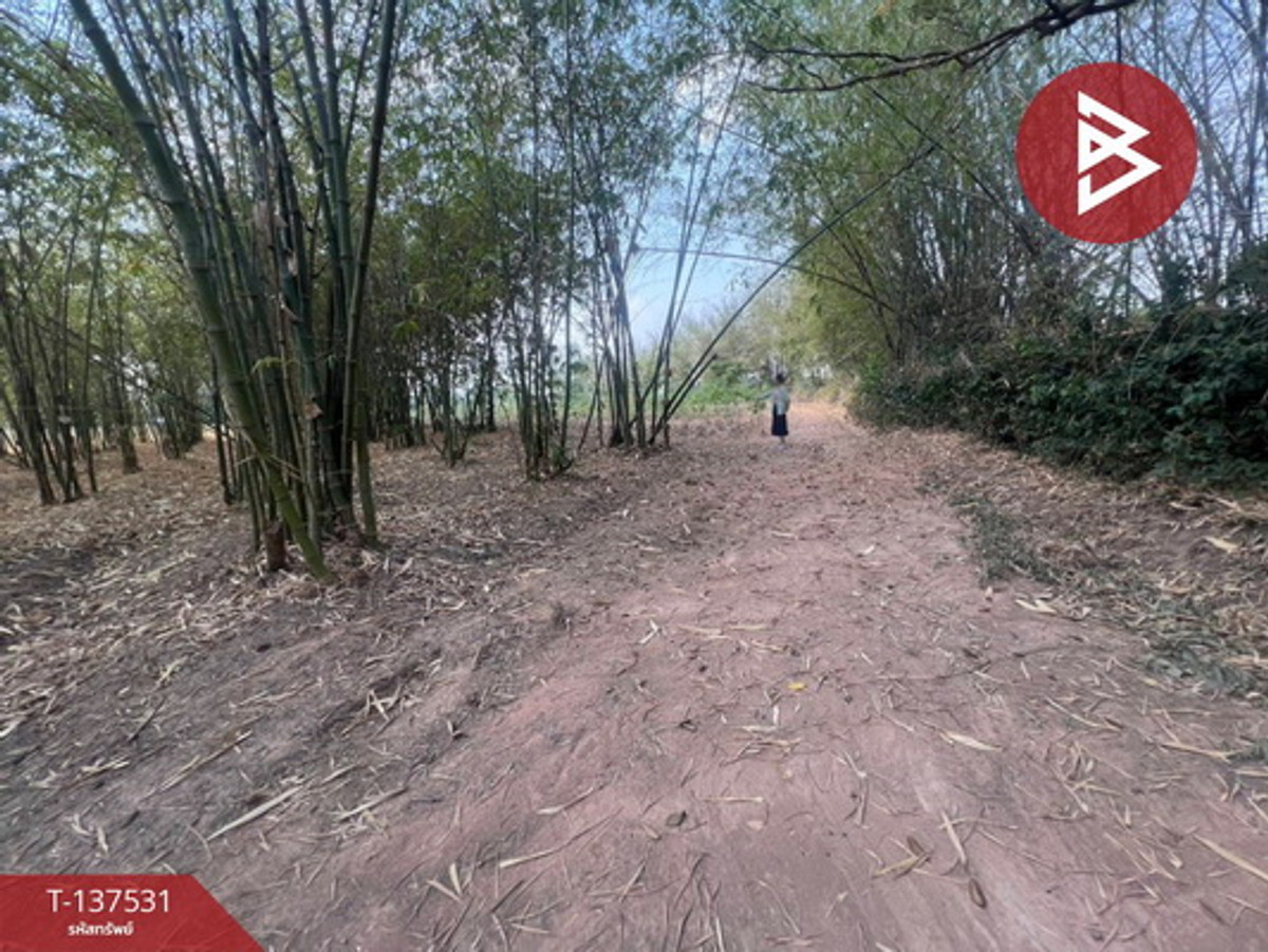 ขายที่ดิน เนื้อที่ 7 ไร่ บ้านหว้า ขอนแก่น