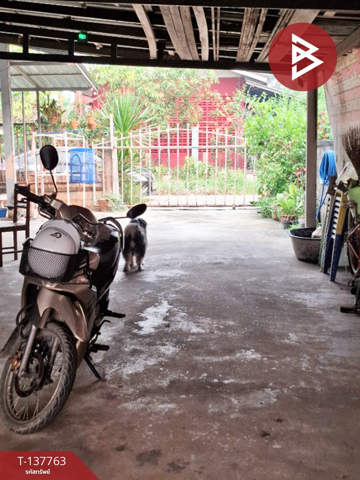 ขายบ้านเดี่ยวพร้อมที่ดิน เนื้อที่ 66 ตารางวา เทิง เชียงราย