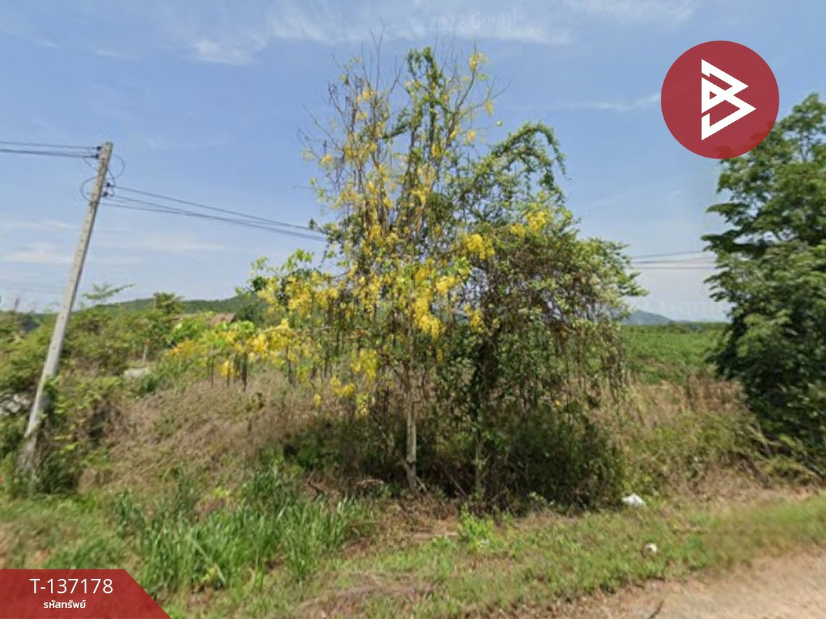 ขายที่ดิน เนื้อที่ 2 งาน ท่ายาง เพชรบุรี