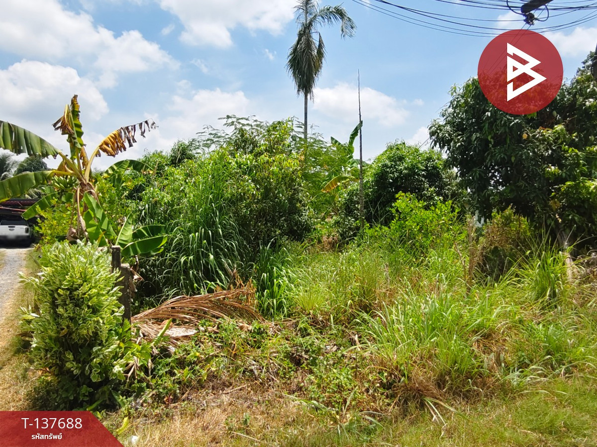 ขายที่ดิน เนื้อที่ 80 ตร.วา บ้านค่าย ระยอง