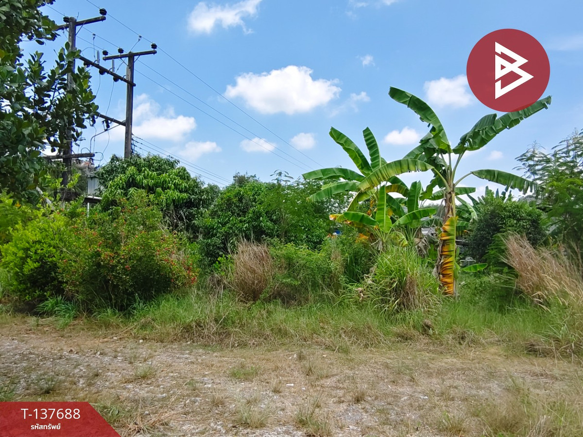 ขายที่ดิน เนื้อที่ 80 ตร.วา บ้านค่าย ระยอง