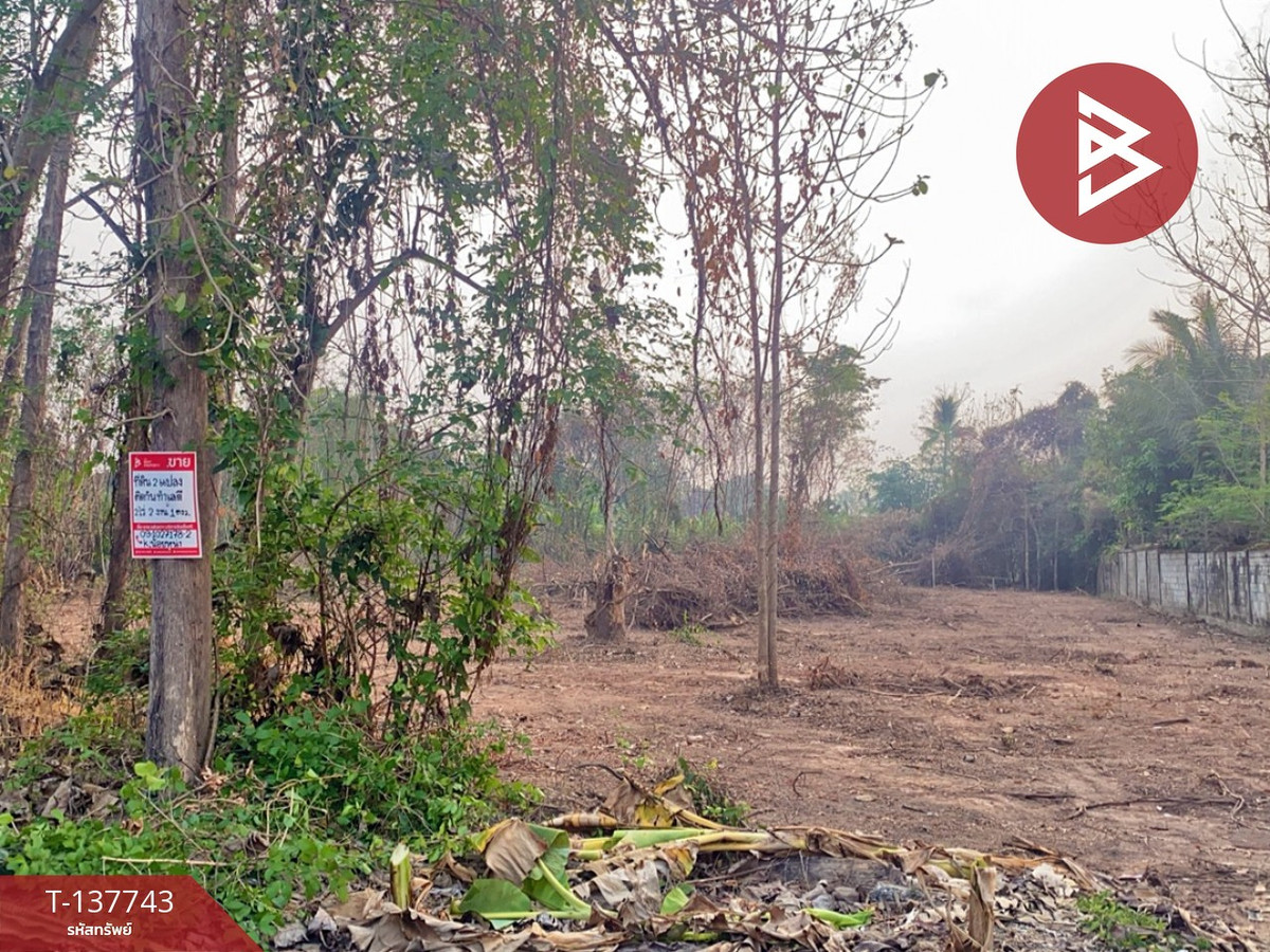 ขายที่ดิน เนื้อที่ 3 งาน 90 ตร.วา บ้านเกาะ อุตรดิตถ์