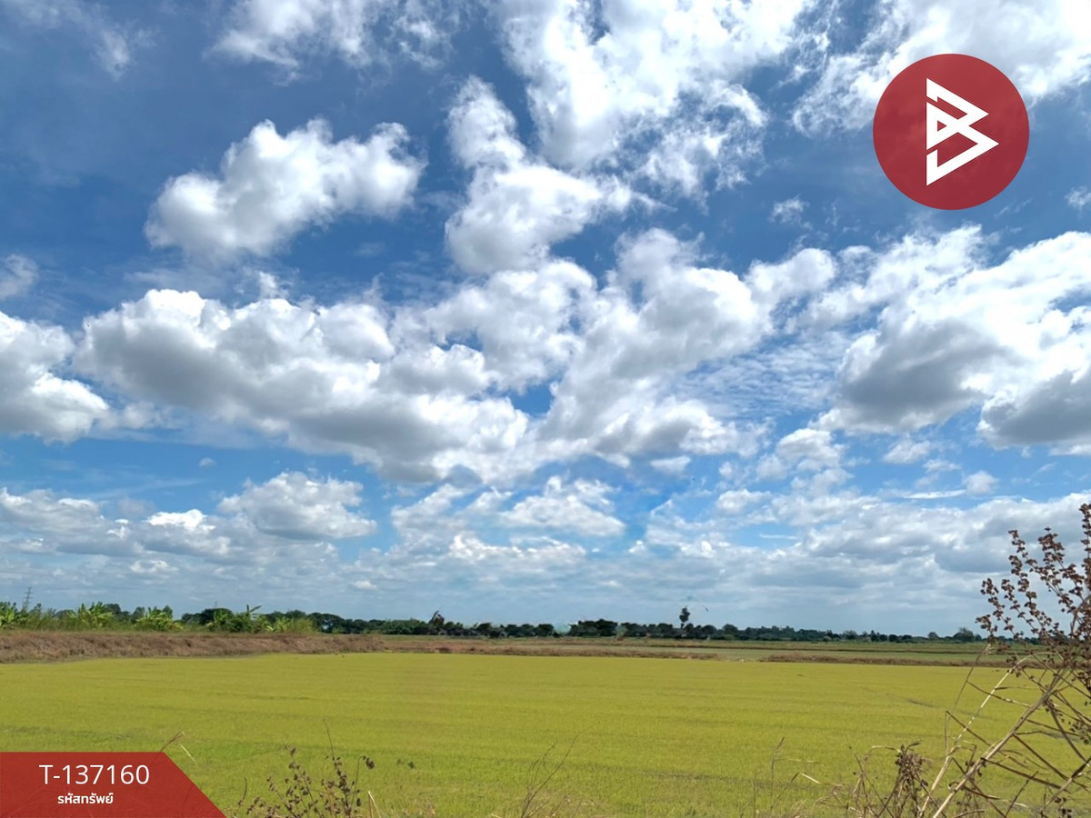 ขายที่ดิน เนื้อที่ 6 ไร่ 1 งาน 78 ตร.วา พรหมบุรี สิงห์บุรี