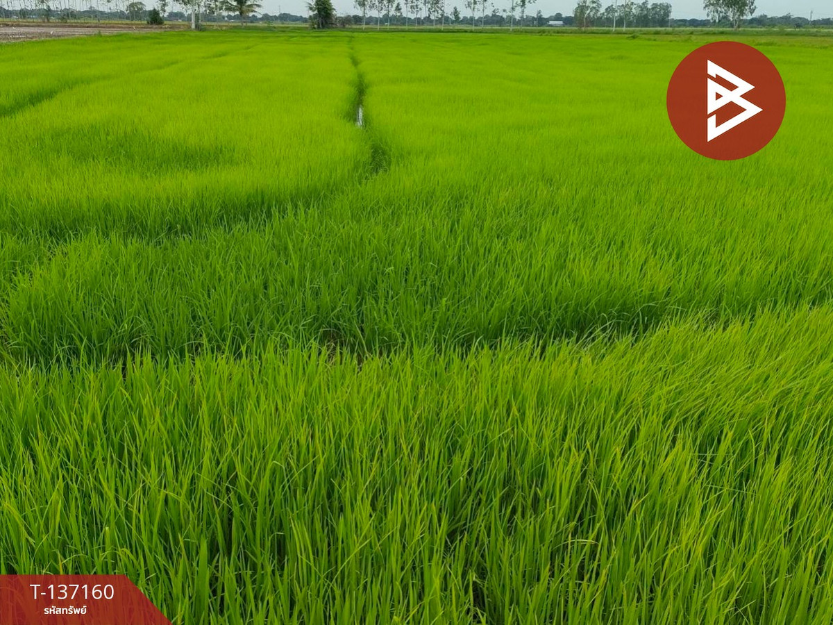 ขายที่ดิน เนื้อที่ 6 ไร่ 1 งาน 78 ตร.วา พรหมบุรี สิงห์บุรี