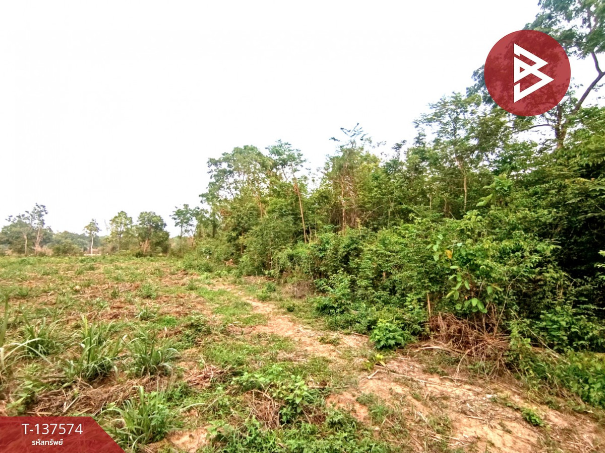 ขายที่ดิน เนื้อที่ 14 ไร่ 2 งาน 14 ตร.วา เชียงเครือ สกลนคร