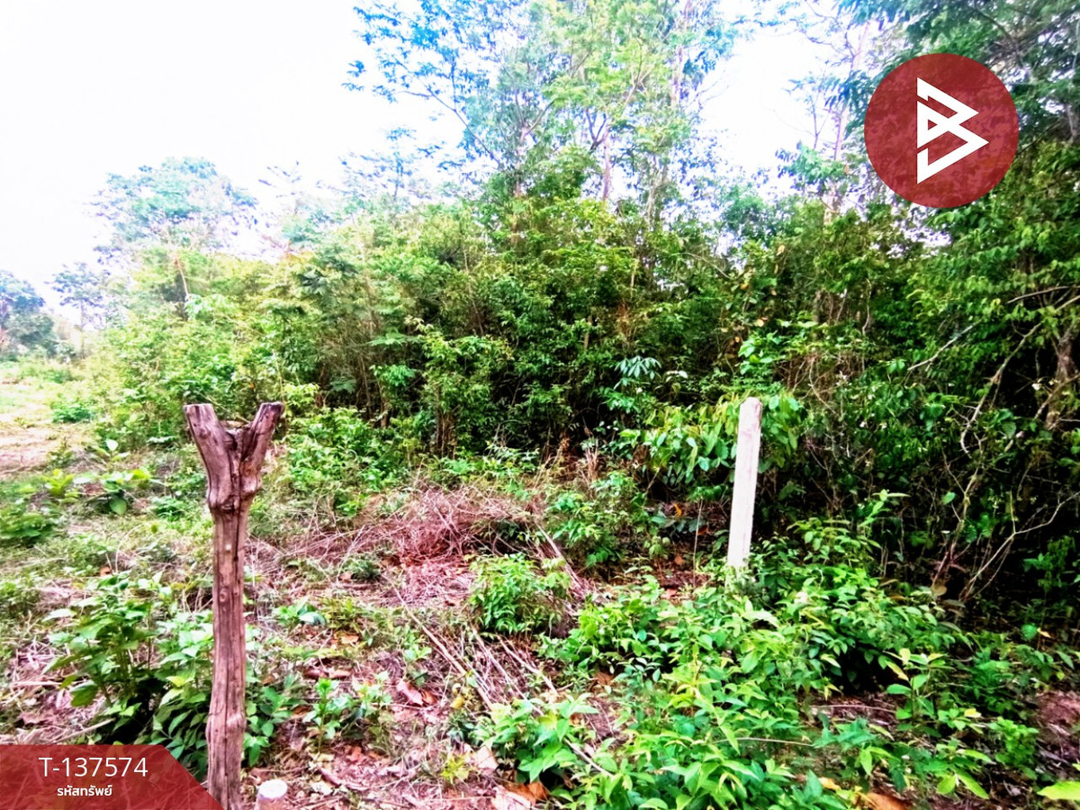 ขายที่ดิน เนื้อที่ 14 ไร่ 2 งาน 14 ตร.วา เชียงเครือ สกลนคร