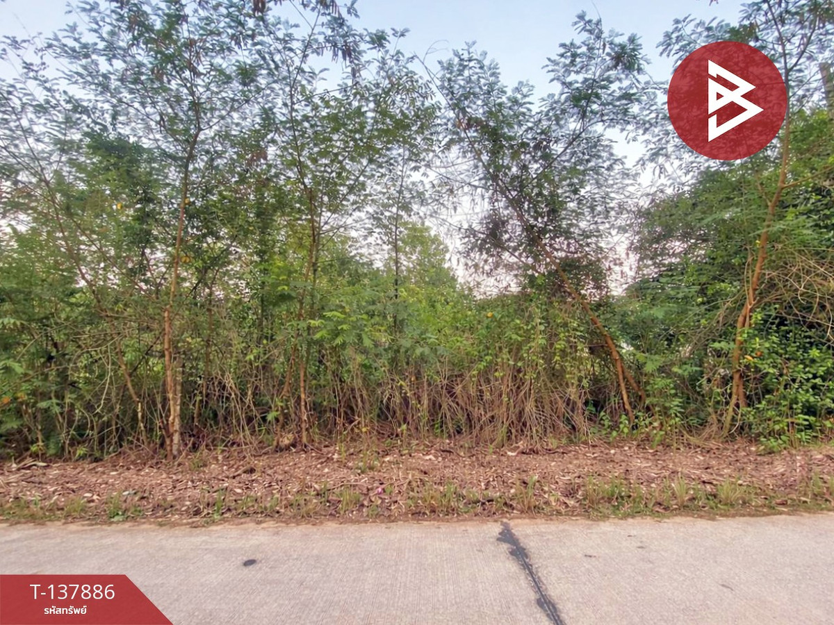 ขายที่ดิน เนื้อที่ 204.5 ตารางวา แกลง ระยอง พื้นที่สวย ทำเลดี