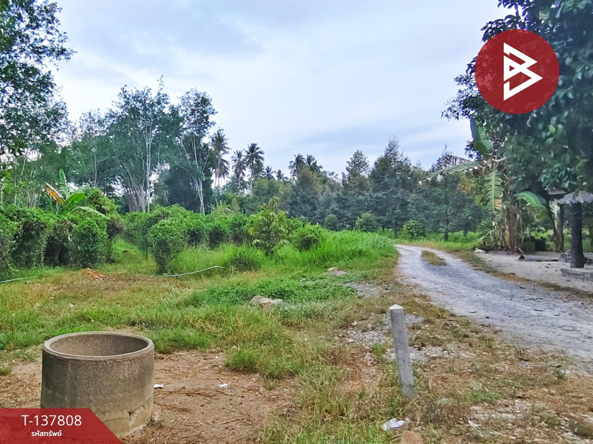 ขายที่ดิน เนื้อที่ 1 ไร่ 2 งาน ติดถนนไชยมนตรี นครศรีธรรมราช ใกล้โรงเรียนหนองบัว