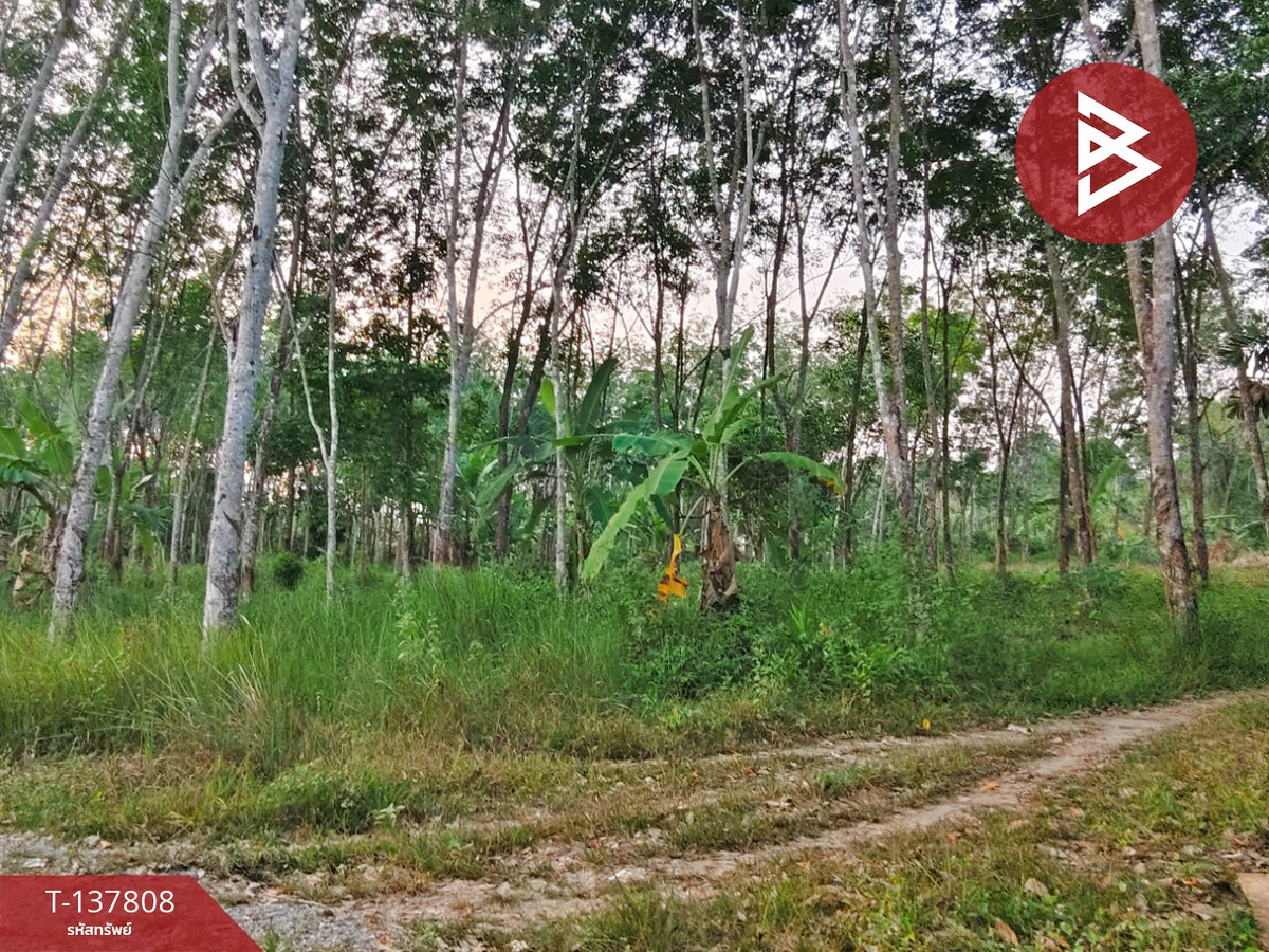 ขายที่ดิน เนื้อที่ 1 ไร่ 2 งาน ติดถนนไชยมนตรี นครศรีธรรมราช ใกล้โรงเรียนหนองบัว