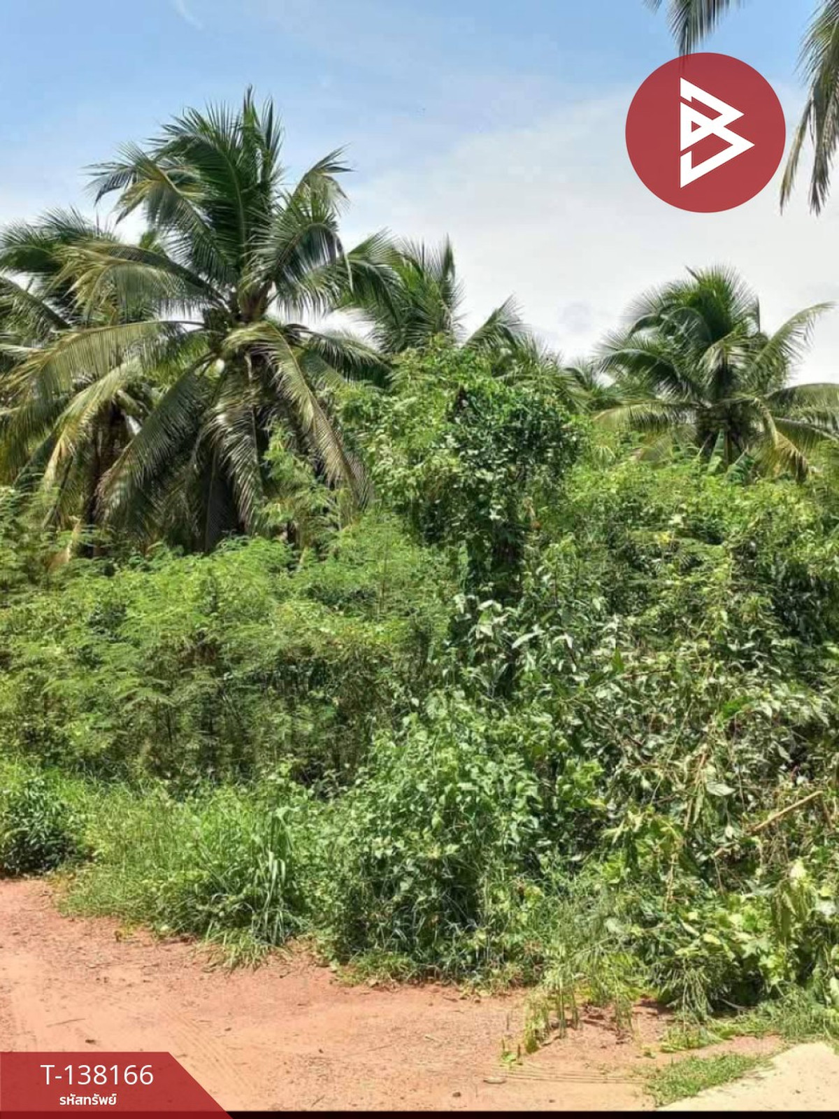 ขายที่ดิน เนื้อที่ 2 งาน 44.5 ตร.วา ดำเนินสะดวก ราชบุรี