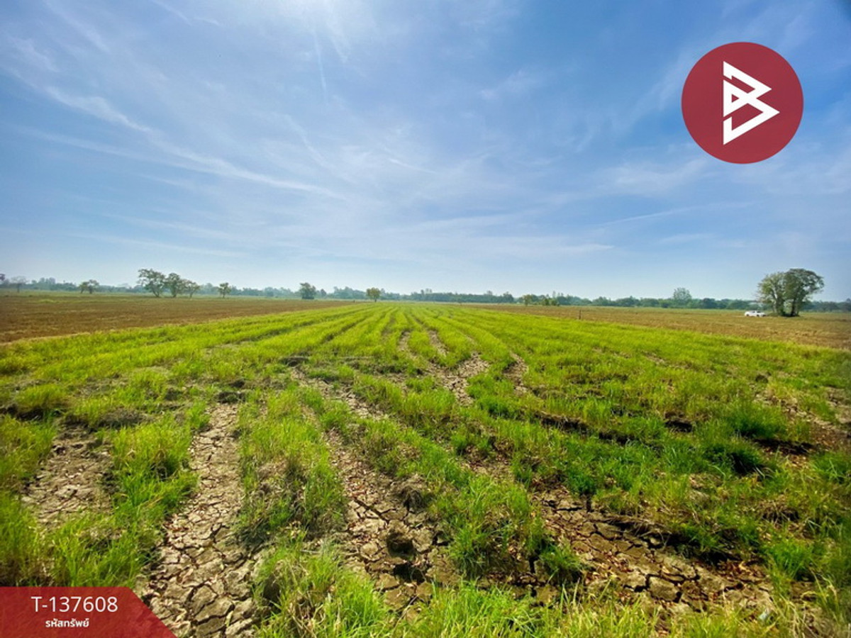 ขายที่ดิน เนื้อที่ 5 ไร่ 2 งาน 10 ตารางวา น้ำพอง ขอนแก่น