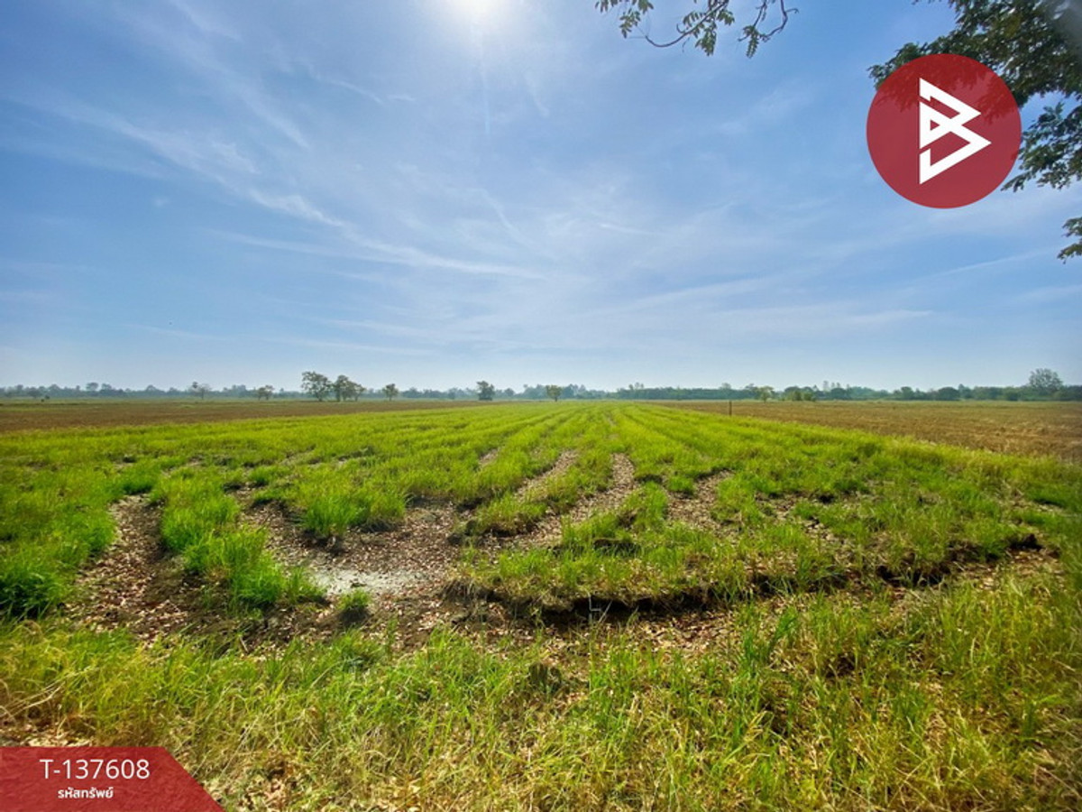 ขายที่ดิน เนื้อที่ 5 ไร่ 2 งาน 10 ตารางวา น้ำพอง ขอนแก่น