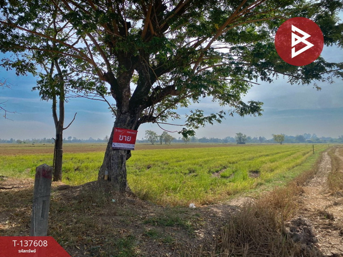 ขายที่ดิน เนื้อที่ 5 ไร่ 2 งาน 10 ตารางวา น้ำพอง ขอนแก่น