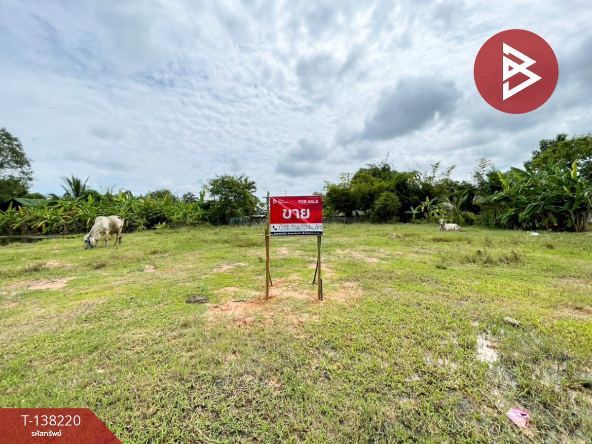 ขายที่ดิน เนื้อที่ 3 งาน 20 ตร.วา บ้านไผ่ ขอนแก่น