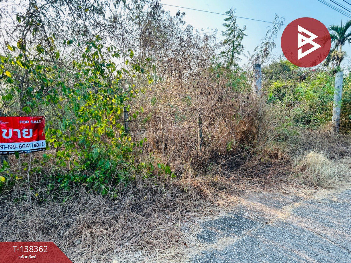 ขายที่ดิน เนื้อที่ 2 งาน โพธาราม ราชบุรี